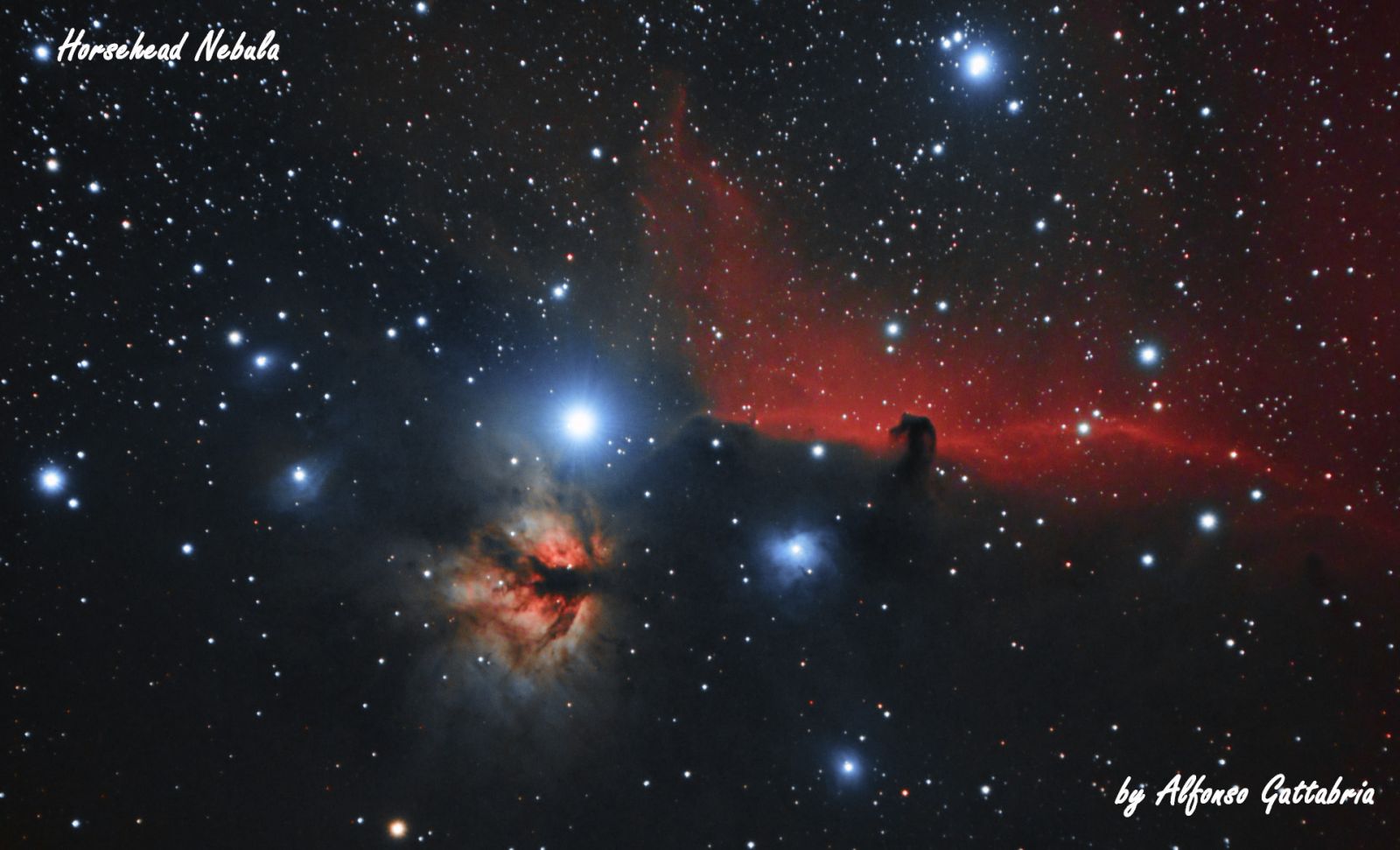 B33 Horsehead