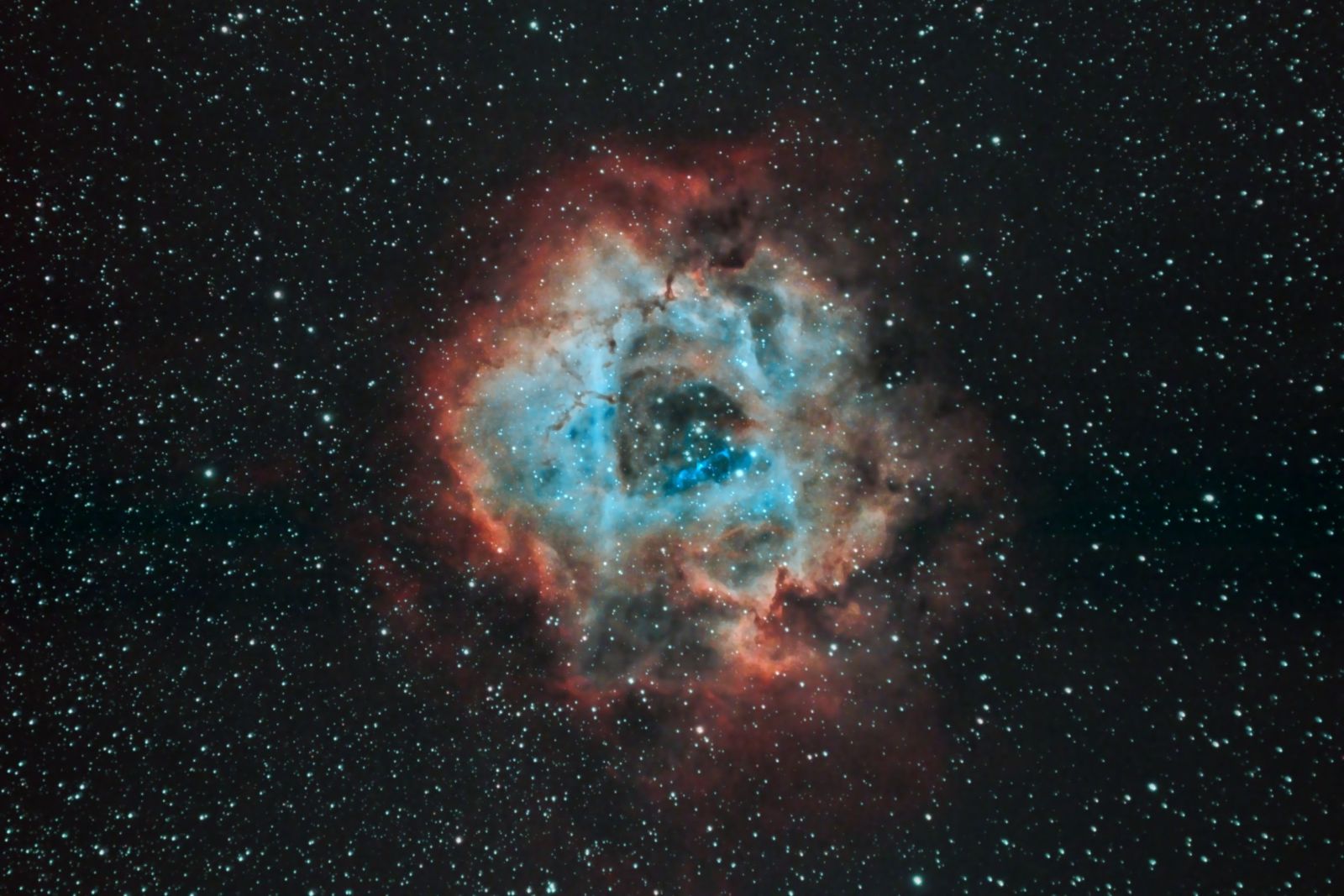 NGC 2244