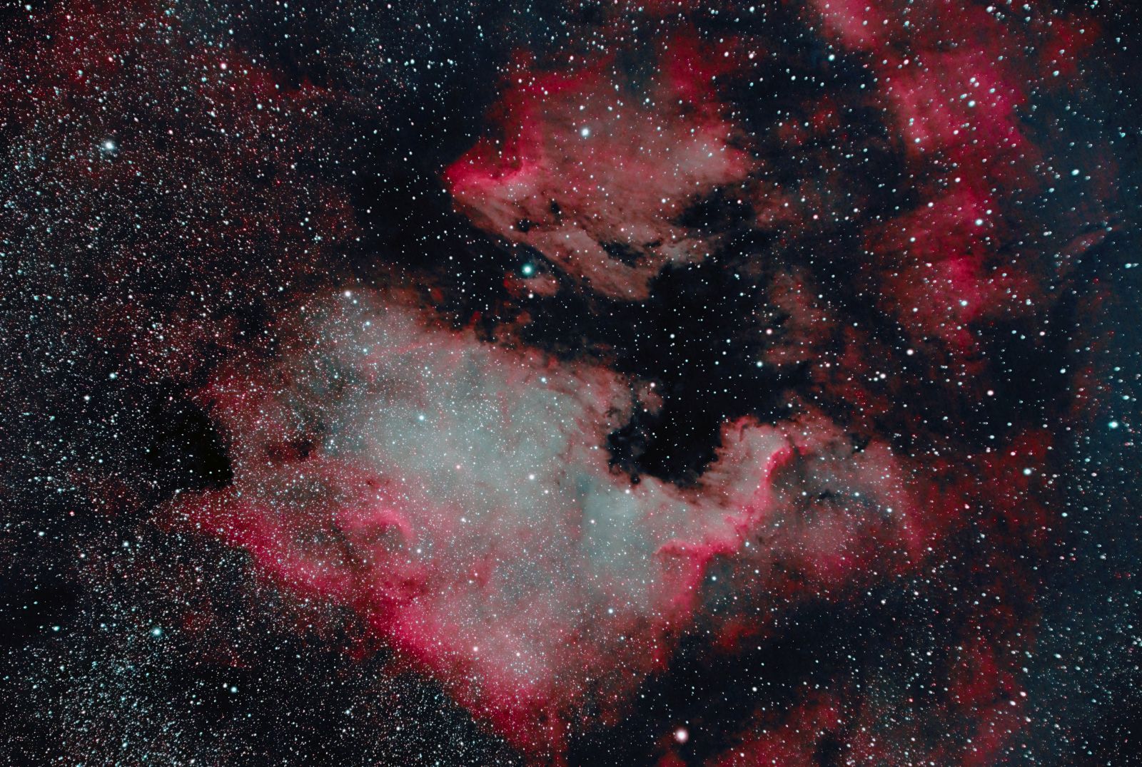 NGC 7000