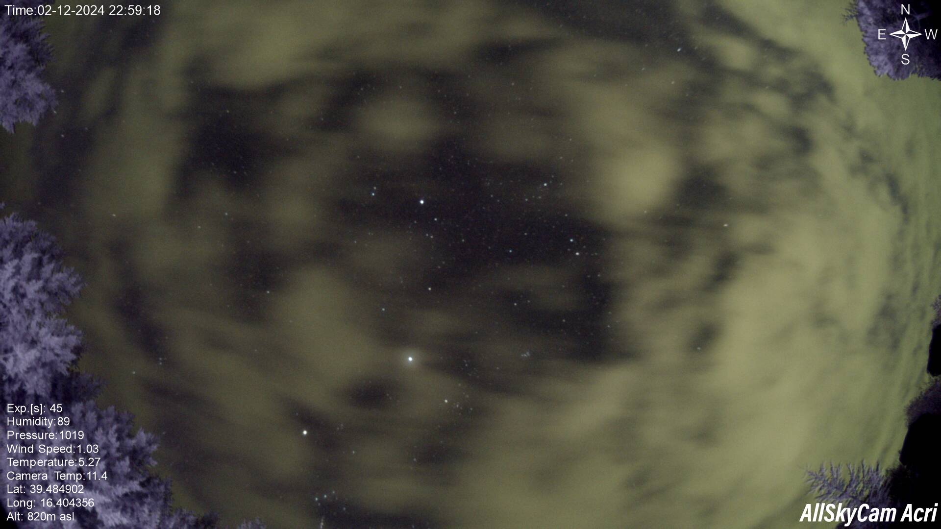 Galleria Immagini